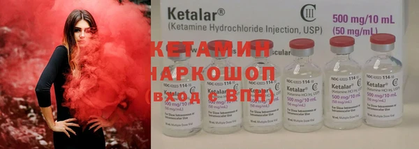 шишки Каменка
