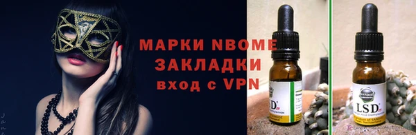 шишки Каменка