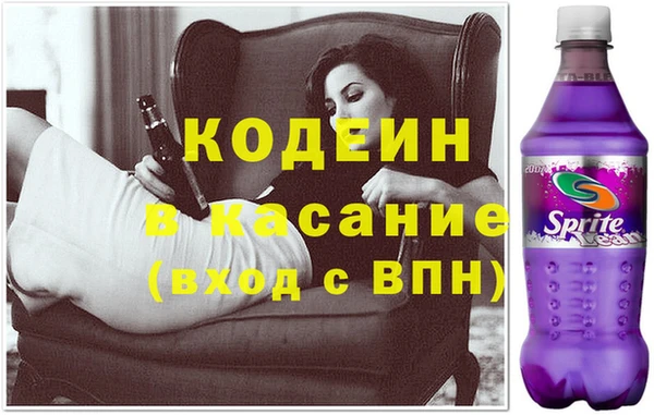 шишки Каменка