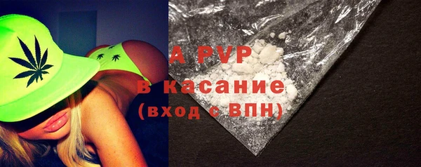 шишки Каменка