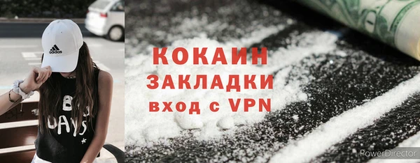 шишки Каменка
