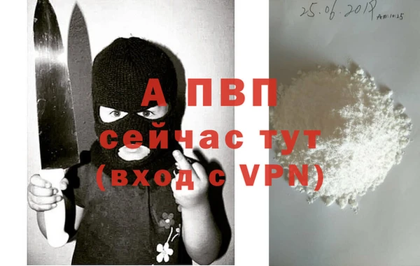шишки Каменка