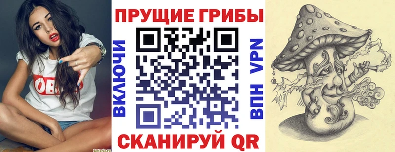 Псилоцибиновые грибы мухоморы  Купить закладки  Заволжск 
